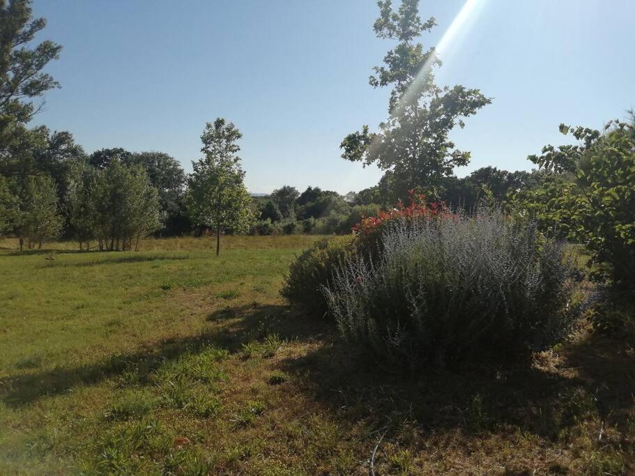 Le Soleil D Eugenie Appartement Dans Residence Avec Piscine Commune Pres De Carcassonne Olonzac المظهر الخارجي الصورة