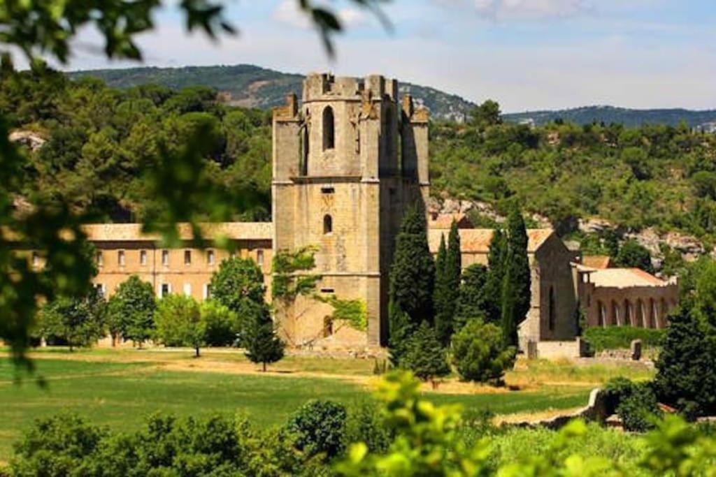 Le Soleil D Eugenie Appartement Dans Residence Avec Piscine Commune Pres De Carcassonne Olonzac المظهر الخارجي الصورة