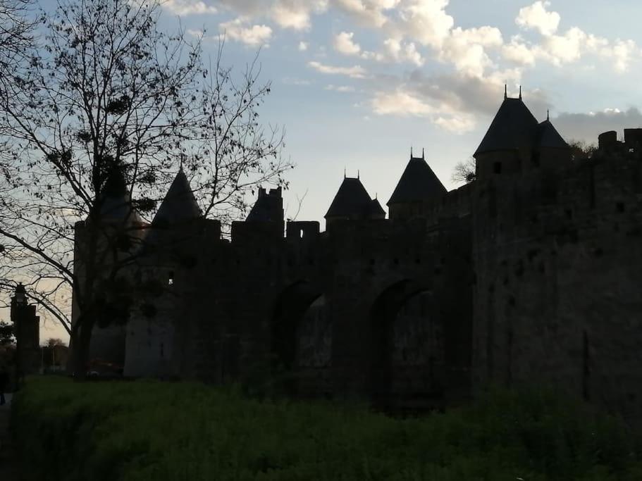 Le Soleil D Eugenie Appartement Dans Residence Avec Piscine Commune Pres De Carcassonne Olonzac المظهر الخارجي الصورة