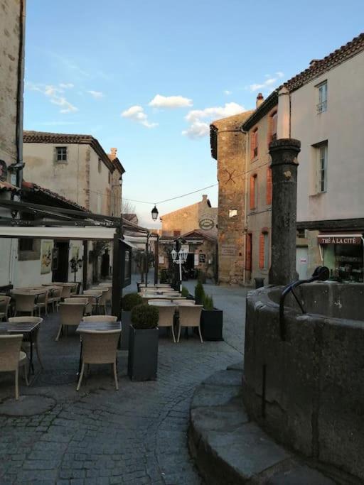 Le Soleil D Eugenie Appartement Dans Residence Avec Piscine Commune Pres De Carcassonne Olonzac المظهر الخارجي الصورة